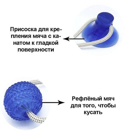 3146516028_w640_h640_igrushka-dlya-sobak