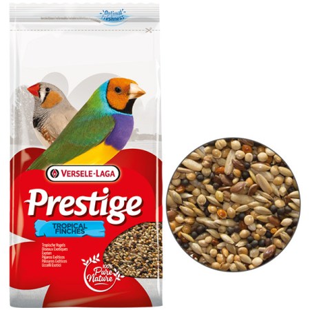 3955659006_w640_h640_versele-laga-prestige-tropical