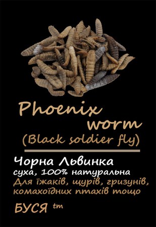 4089362956_w640_h640_chernaya-lvinka-phoenix