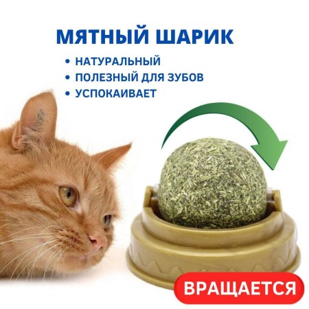 4122969729_w640_h640_koshachya-myata-myatnaya