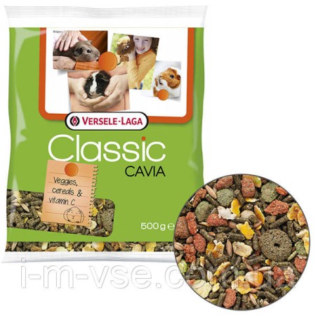 4195888435_w640_h640_versele-laga-classic-cavia