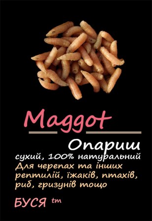 4208448799_w640_h640_oparysh-suhoj-maggot