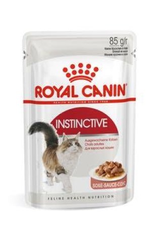 4847104847_w640_h640_korm-royal-kanin