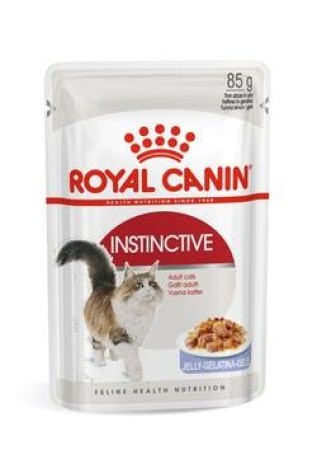 4847105425_w640_h640_korm-royal-kanin