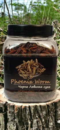 5004851135_w640_h640_chernaya-lvinka-phoenix