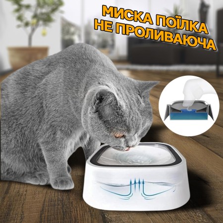 5111244802_w640_h640_miska-dlya-sobak