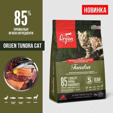 6283839072_w640_h640_tundra-cat-bezzernovoj
