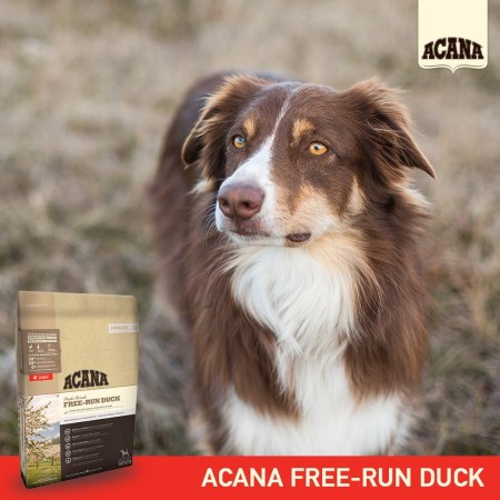 6321763912_w640_h640_acana-free-run-duck