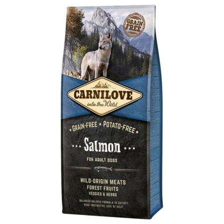 6421497302_w640_h640_carnilove-salmon-adult