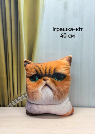 6481145854_w640_h640_myagkaya-igrushka-podushka