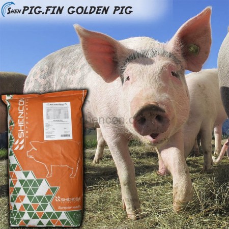 6498569086_w640_h640_bvmk-shenpig-fin