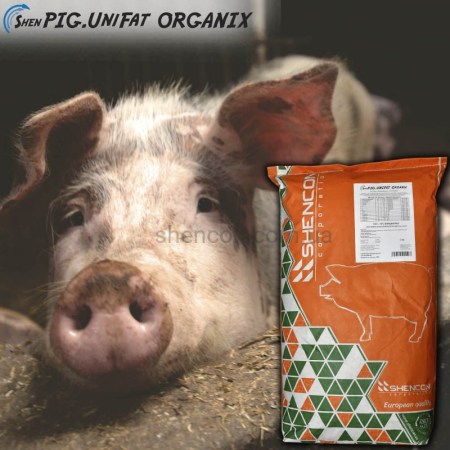 6498670524_w640_h640_bvmk-shenpig-unifat