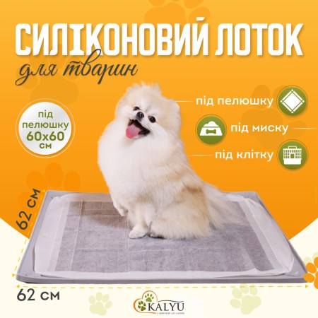 6655661818_w640_h640_tualet-lotok-pod
