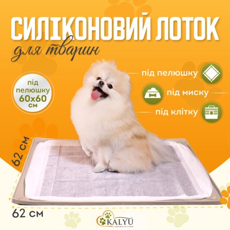 6655686299_w640_h640_tualet-lotok-pod