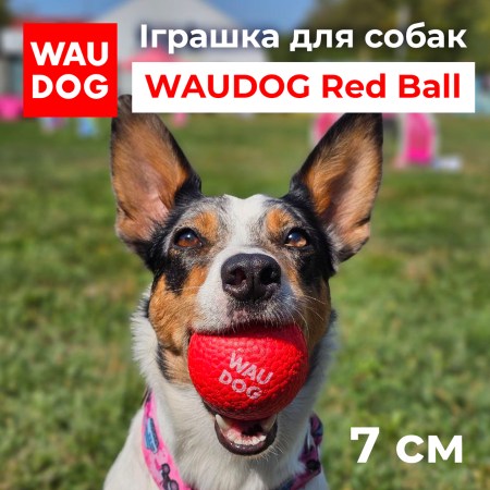 6750606279_w640_h640_igrushka-dlya-sobak
