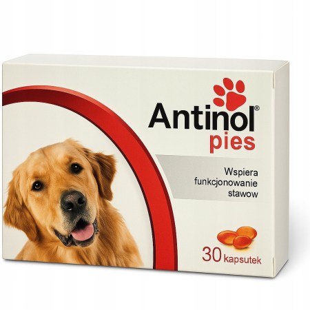 6848111650_w640_h640_antinol-sobaka-30