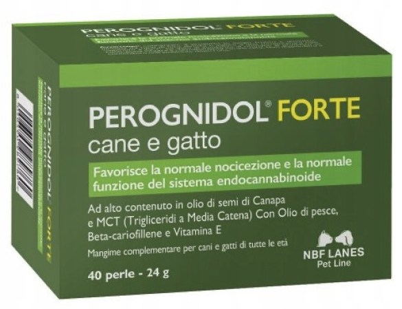 6848138143_w640_h640_perognidol-forte-dlya