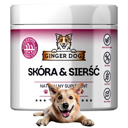 6848150520_w640_h640_ginger-dog-kozha