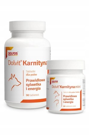6848187706_w640_h640_dolvit-karnitin-2x90