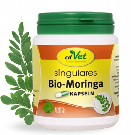 6848205079_w640_h640_bio-moringa-100