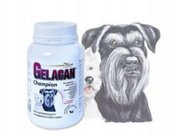 6848214006_w640_h640_orling-gelacan-chempion