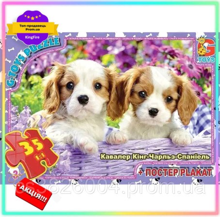 6850476266_w640_h640_ki-pazly-detskie