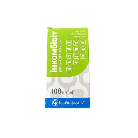 6876169170_w640_h640_inkombivit-rastvor100-ml