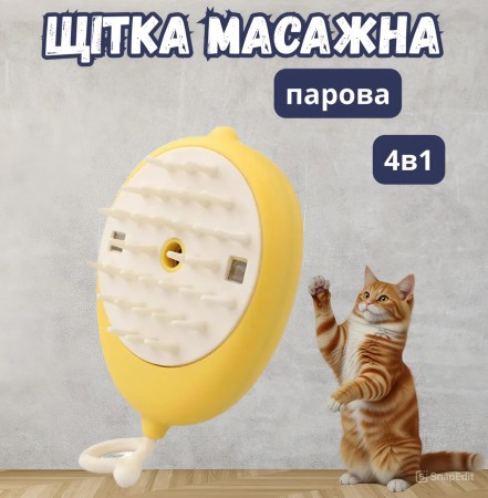 7046674592_w640_h640_schetka-massazher-4v1-s