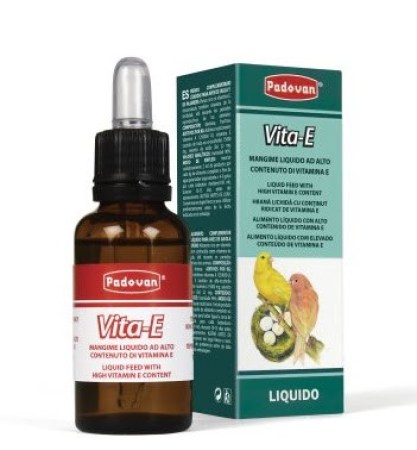 7100436329_w640_h640_padovan-vita-e--