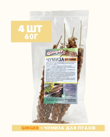 7259222202_w640_h640_kolosok-chumiza-ginger