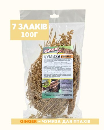 7259234655_w640_h640_kolosok-chumiza-ginger